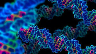 Descubren un gen que determina si las células de cáncer de mama forman metástasis o están 'dormidas'