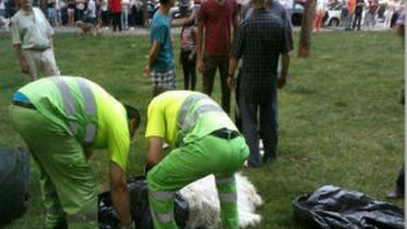 Perro abatido en Zaragoza