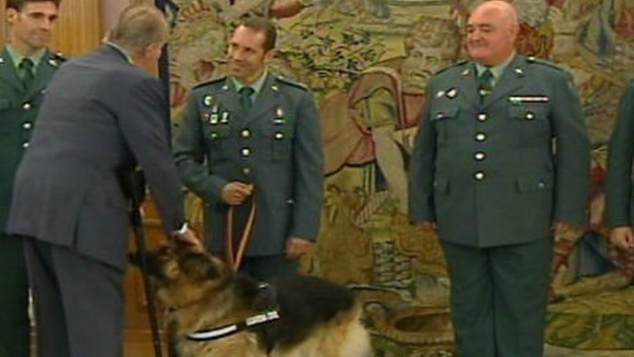 El Rey recibe a Ajax, el perro que detectó un segundo explosivo de ETA en Palmanova
