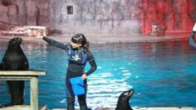 Suspense y diversión en Faunia al caer el sol