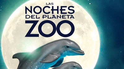 Se encienden las noches de verano en Zoo Aquarium de Madrid