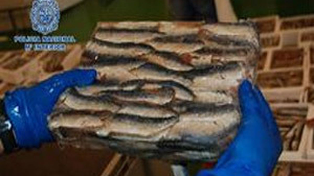 Hachís en sardinas congeladas