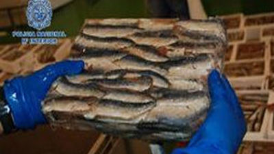 Desmantela una red que introducía hachís oculto entre sardinas congeladas