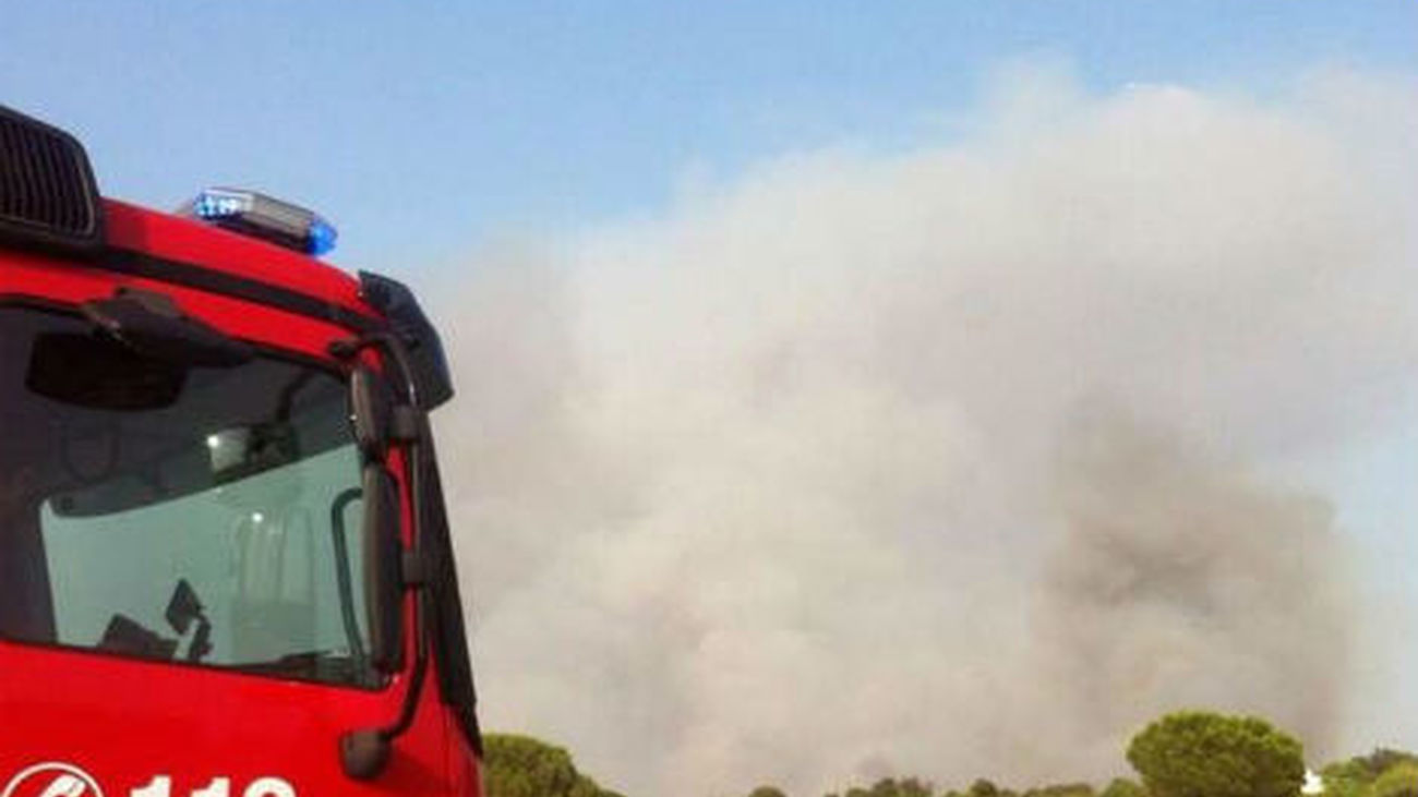 Los bomberos y retenes forestales controlan la zona del incendio de Chapinería