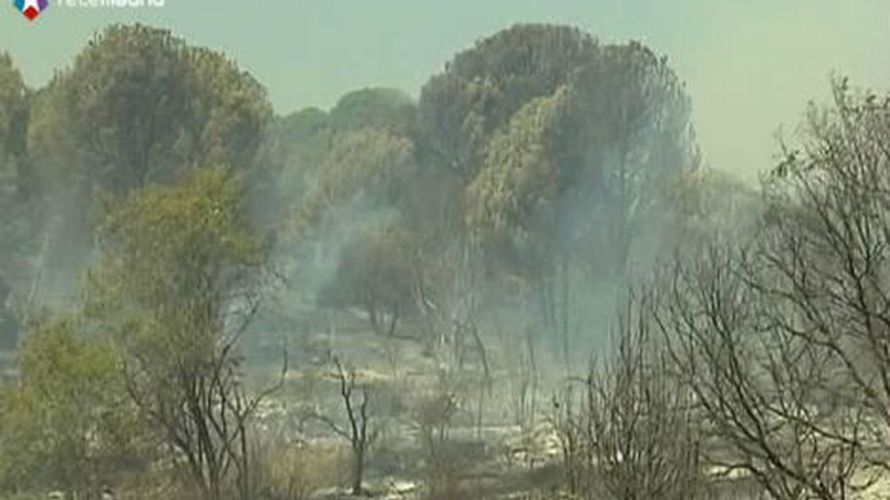 La Guardia Civil busca un pirómano en Almorox tras el cuarto incendio en 5 días