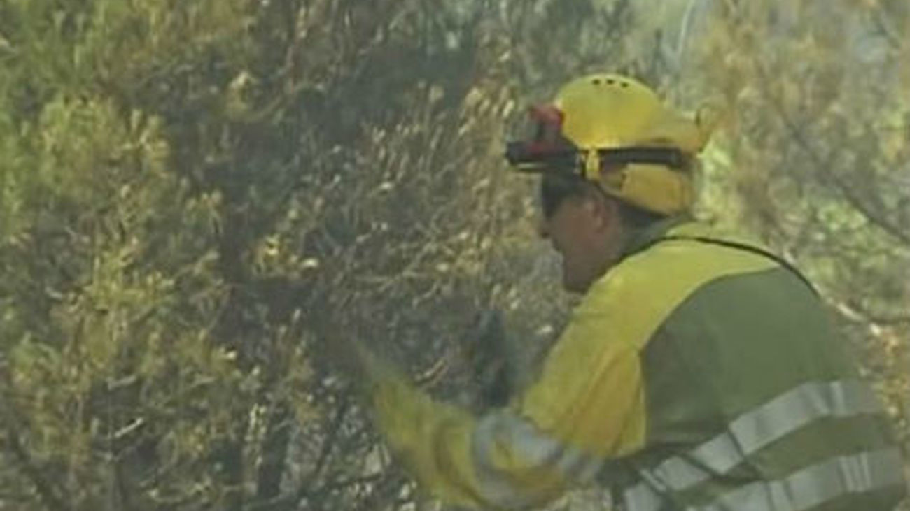 La Comunidad afirma que hay un pirómano "decidido" a quemar los montes madrileños