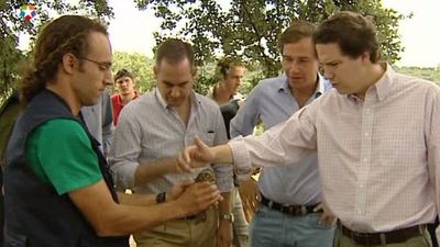 El Monte de Boadilla recupera la fauna silvestre  y cuenta con doce parejas de aves rapaces