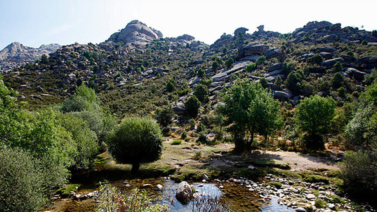 Senda de las formas Guadarrama