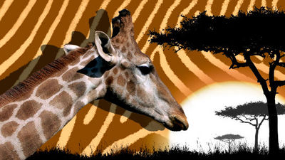 Date un paseo por la sabana sin salir de Madrid