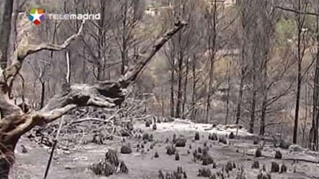 Estabilizados los frentes del incendio de Mallorca excepto el de Galatzó