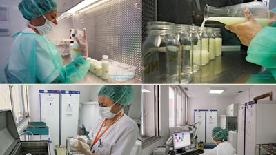 3.000 niños se benefician al año de los 7 Bancos de Leche materna que hay en España