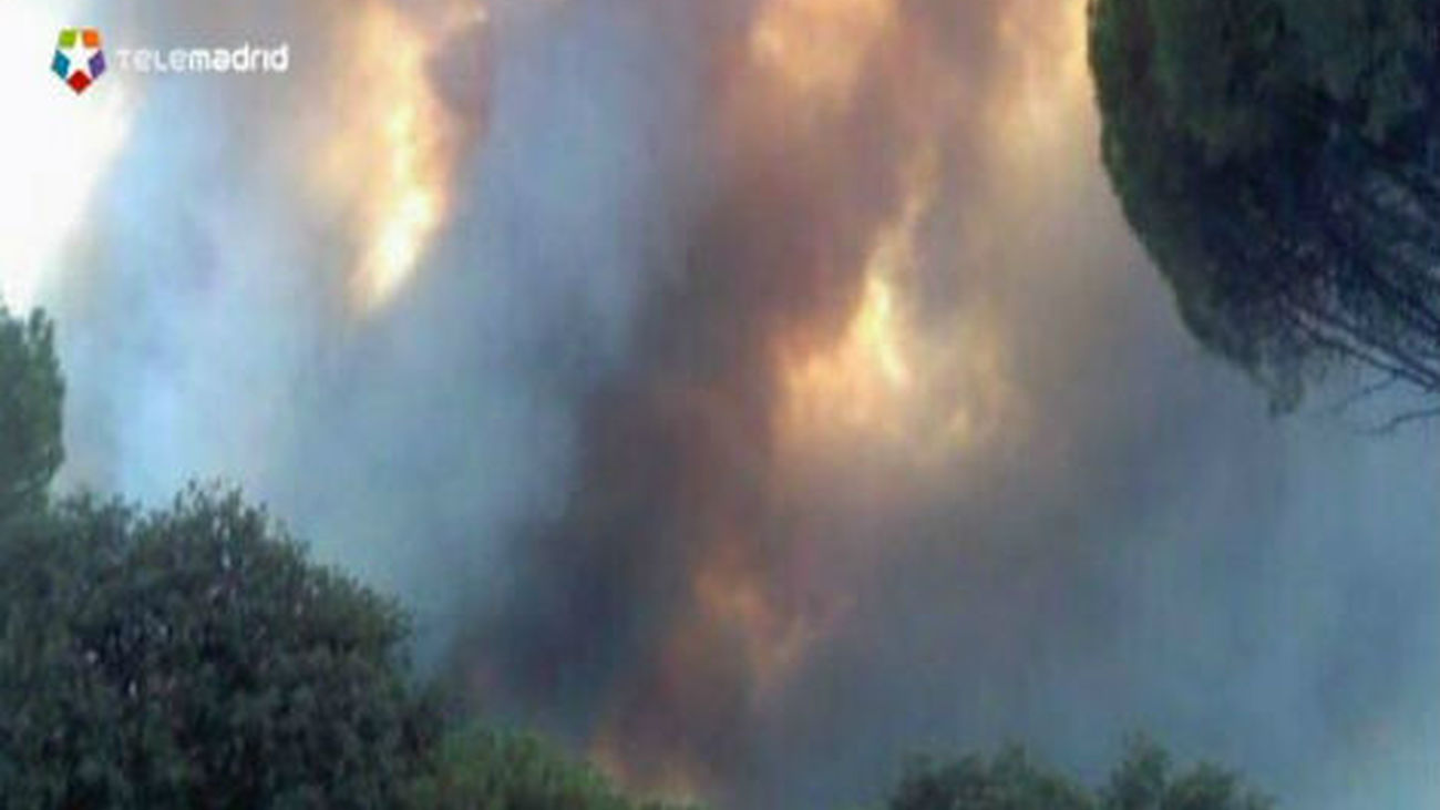 Se da por controlado el fuego de Avila que ha afectado a 1.000 hectáreas