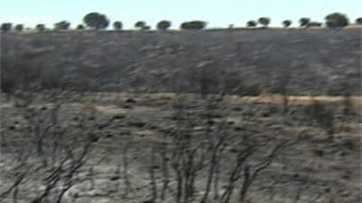 Controlado el incendio de Campo Real