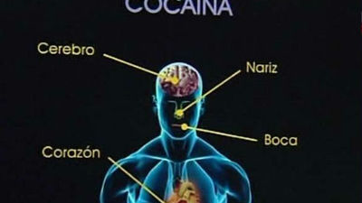 El autobús 'Drogas o tú' previene contra las drogas a casi 155.000 madrileños