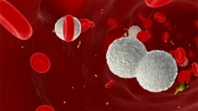 Identificadas las mutaciones que generan los 30 cánceres más comunes