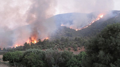 Estabilizado en un 75% el fuego de Artà y Capdepera
