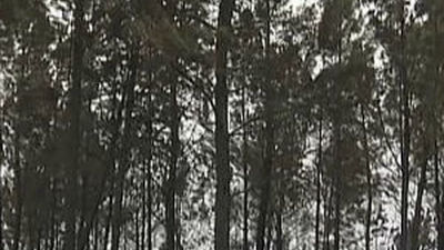 Nuevos fuegos, aún sin extinguir, afectan a dos localidades próximas a Orense