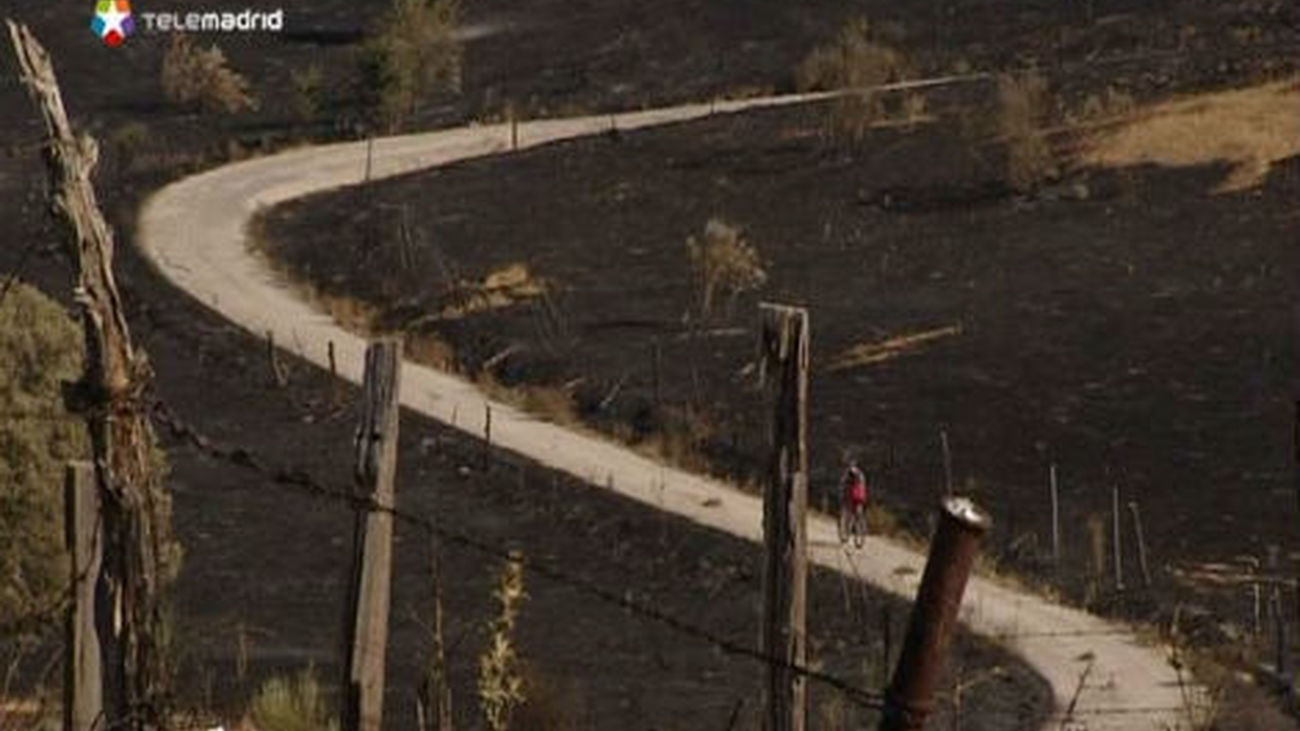 El incendio de Colmenar y Tres Cantos arrasa 270 hectáreas de pasto y matorral