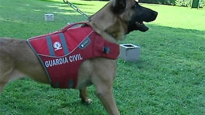 Olfato canino para encontrar cadáveres sumergidos hasta 50 metros