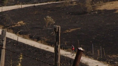 Imputado un joven por una quema negligente que provocó el incendio de Tres Cantos
