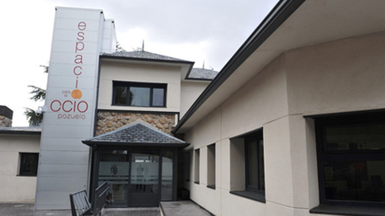 pozuelo_ayuntamiento300_discapacidad