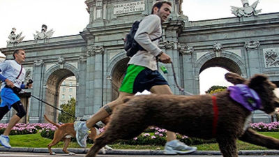 Perrotón Madrid 2013 calienta motores