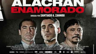 Oscar 2014: 'La gran familia española', 'Alacrán enamorado', '15 años y un día' y 'Canibal'