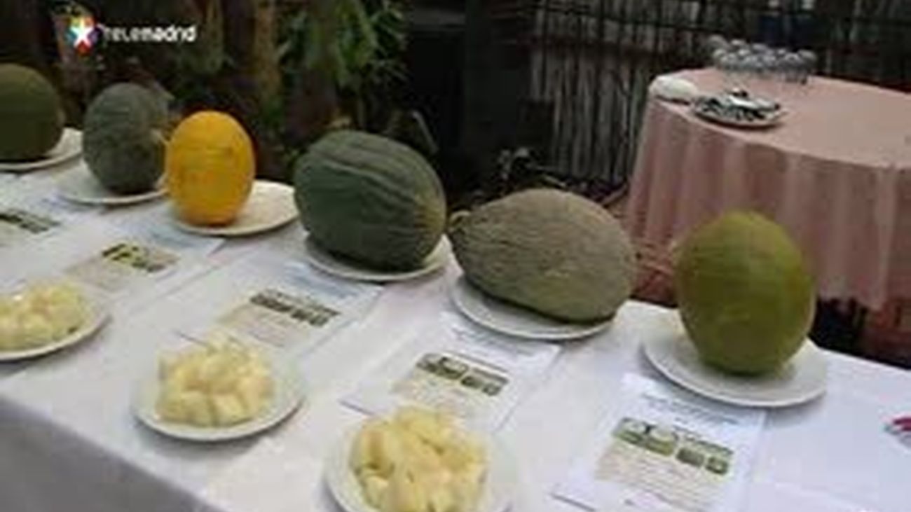 La Comunidad estudia 40 variedades de melón para mejorar su competitividad