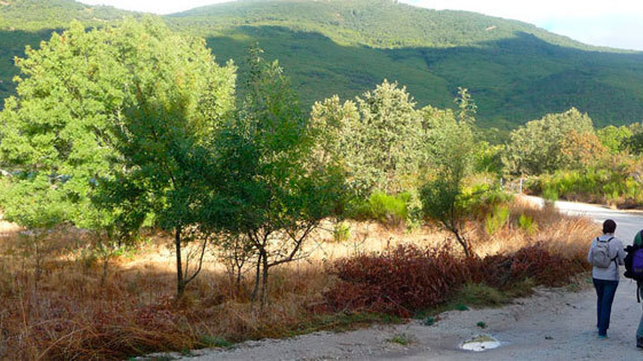Ruta por el embalse de Los Morales, en Las Rozas de Puerto Real