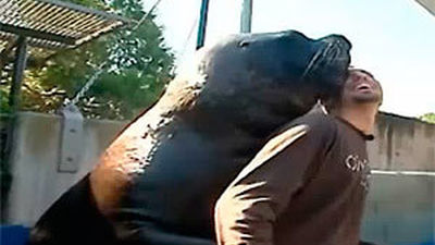 Madrid Distrito Animal: La relación entre animales y cuidadores