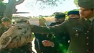 Madrid Distrito Animal: Los visitantes del zoo