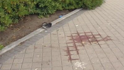 Dos rumanos detenidos por matar a puñaladas a otro en Vallecas