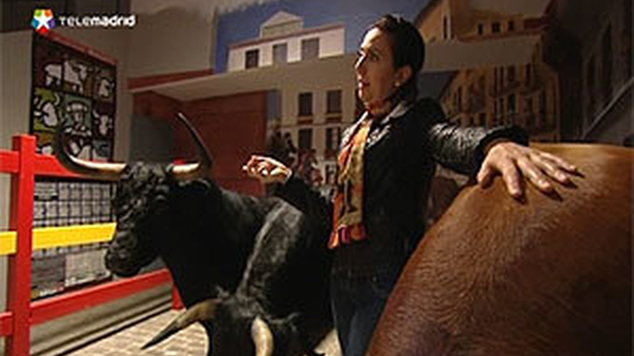 Violencia antitaurina