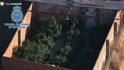 Desmantelado en El Molar el mayor punto de cultivo y distribución de marihuana de Madrid