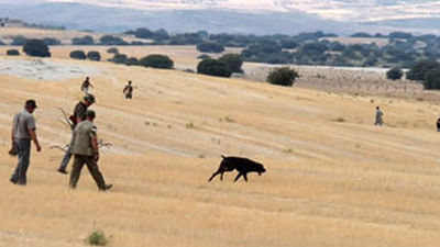 Comienza la temporada de caza en Madrid