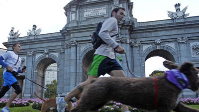 Perros y amos correrán en Perrotón para reivindicar la adopción de animales