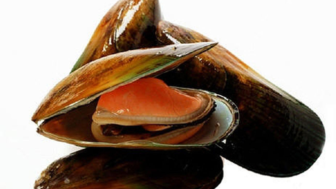MEJILLON_ROJO_GALICIA