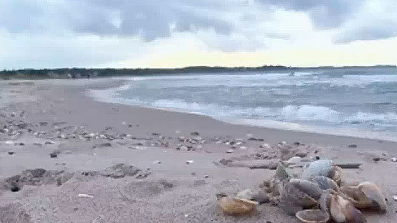 Playas por el mundo: Orbaek, cerca de Copenhague