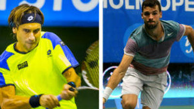 Ferrer pierde la final de Estocolmo