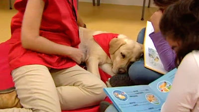 Un taller de lectura... ¡para perros!