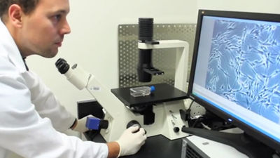 Niveles de vitamina B12 altos pueden indicar riesgo de cáncer