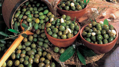 Comienza la campaña de recogida de la aceituna en Madrid