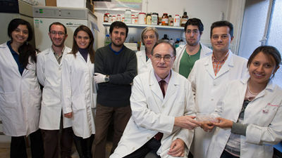 Logran construir por primera vez piel artificial a partir de células madre del cordón umbilical