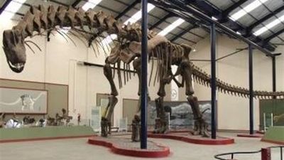 Reconstruyen las zancadas de uno de los dinosaurios más grandes del mundo