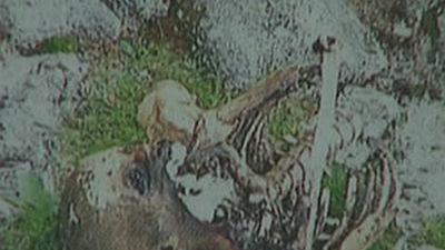 Investigan la identidad de un cadáver hallado en La Pedriza