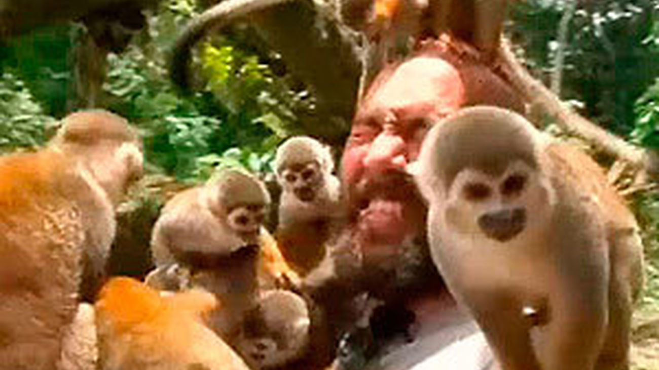 Animales por el mundo: la isla de Los Micos, en el Amazonas colombiano