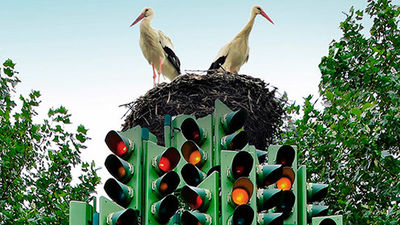 La ciudad vista con otros ojos: Arranca Urban TV 2013