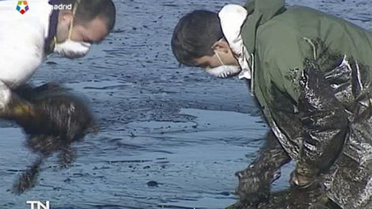 Prestige: Pastor muestra respeto y la oposición lamenta que no haya responsabilidades políticas