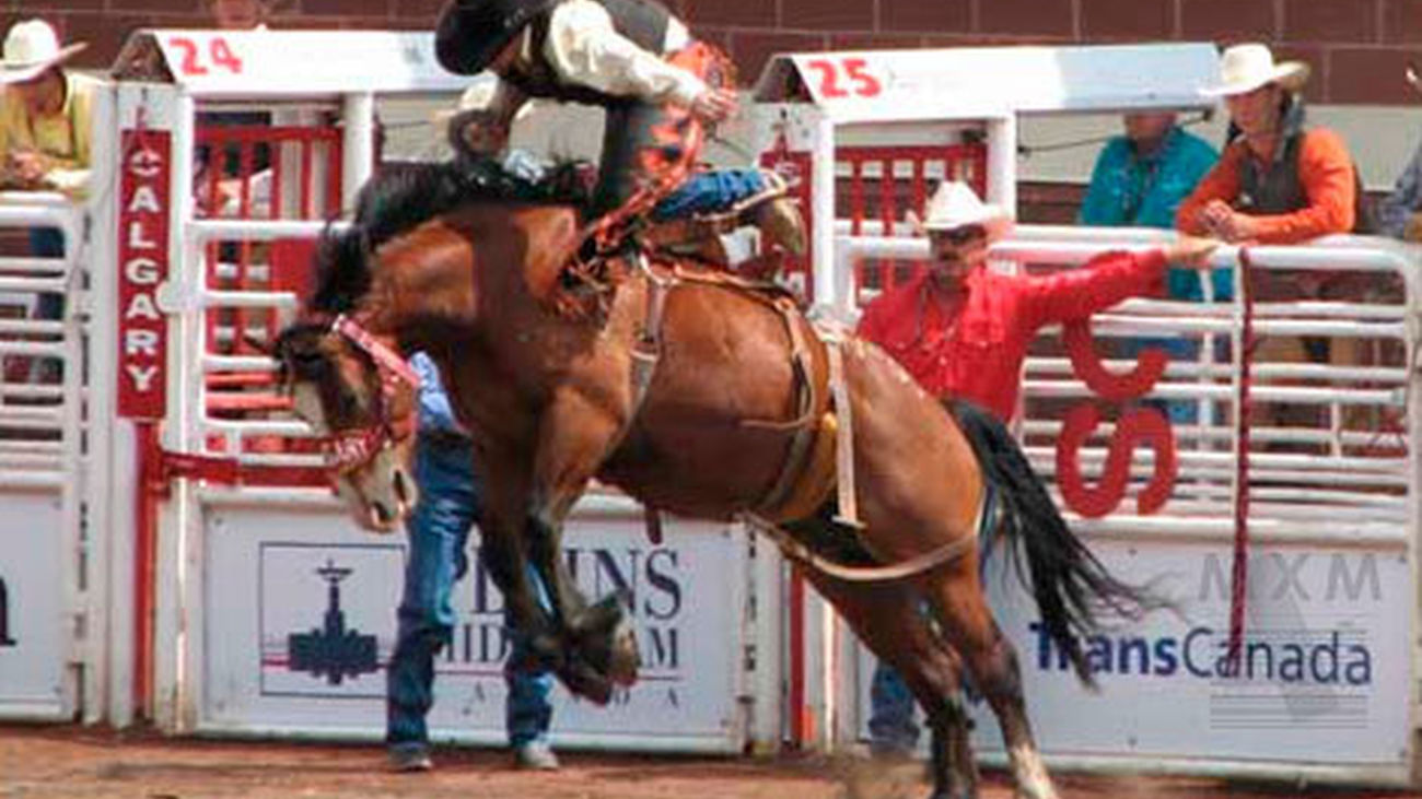 Madrileños por el mundo: Calgary