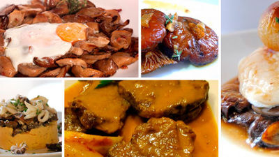 Jornadas de caza y setas en Moralzarzal